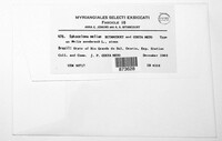 Sphaceloma meliae image